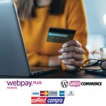 pago online webpay